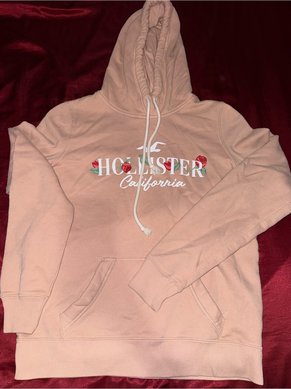 Hollister Pale Pink Hoodie with Floral Logo